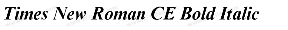 Times New Roman CE Bold Italic字体转换